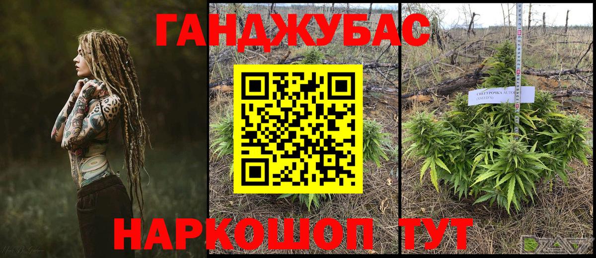 Шишки марихуана тримм  Вход с VPN  Марихуана марихуана  Валуйки  МАРИХУАНА гибрид 